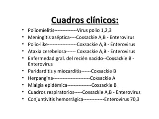 Cuadros clínicos:Cuadros clínicos:
• Poliomielitis--------------Virus polio 1,2,3
• Meningitis aséptica----Coxsackie A,B - Enterovirus
• Polio-like------------------Coxsackie A,B - Enterovirus
• Ataxia cerebelosa------ Coxsackie A,B - Enterovirus
• Enfermedad gral. del recién nacido--Coxsackie B -
Enterovirus
• Peridarditis y miocarditis------Coxsackie B
• Herpangina-----------------------Coxsackie A
• Mialgia epidémica---------------Coxsackie B
• Cuadros respiratorios-----Coxsackie A,B - Enterovirus
• Conjuntivitis hemorrágica-------------Enterovirus 70,3
 