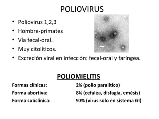 POLIOVIRUS
• Poliovirus 1,2,3
• Hombre-primates
• Vía fecal-oral.
• Muy citolíticos.
• Excreción viral en infección: fecal-oral y faríngea.
POLIOMIELITIS
Formas clínicas: 2% (polio paralítico)
Forma abortiva: 8% (cefalea, disfagia, emésis)
Forma subclínica: 90% (virus solo en sistema GI)
 