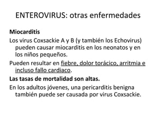 ENTEROVIRUS: otras enfermedades
Miocarditis
Los virus Coxsackie A y B (y también los Echovirus)
pueden causar miocarditis en los neonatos y en
los niños pequeños.
Pueden resultar en fiebre, dolor torácico, arritmia e
incluso fallo cardiaco.
Las tasas de mortalidad son altas.
En los adultos jóvenes, una pericarditis benigna
también puede ser causada por virus Coxsackie.
 
