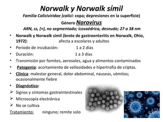 Norwalk y Norwalk símil
Familia Caliciviridae (calici: copa; depresiones en la superficie)
Género Norovirus
ARN, ss, (+), no segmentado; icosaédrica, desnudo; 27 a 38 nm
• Norwalk y Norwalk símil (brote de gastroenteritis en Norwalk, Ohio,
1972): afecta a escolares y adultos
• Período de incubación: 1 a 2 días
• Duración: 1 a 3 días
• Transmisión por fomites, aerosoles, agua y alimentos contaminados
• Patogenia: acortamiento de vellosidades e hípertrofia de criptas.
• Clínica: malestar general, dolor abdominal, nauseas, vómitos;
ocasionalmente fiebre
• Diagnóstico:
 Signos y síntomas gastrointestinales
 Microscopía electrónica
 No se cultiva
Tratamiento: ninguno; remite solo
 
