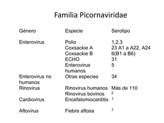 Familia Picornaviridae
Género Especie Serotipo
Enterovirus Polio
Coxsackie A
Coxsackie B
ECHO
Enterovirus
humanos
1,2,3
23 A1 a A22, A24
6(B1 a B6)
31
5
Enterovirus no
humanos
Otras especies 34
Rinovirus Rinovirus humanos
Rinovirus bovinos
Más de 110
2
Cardiovirus Encefalomiocarditis 1
Aftovirus Fiebre aftosa 7
 