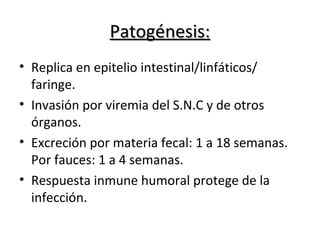 Patogénesis:Patogénesis:
• Replica en epitelio intestinal/linfáticos/
faringe.
• Invasión por viremia del S.N.C y de otros
órganos.
• Excreción por materia fecal: 1 a 18 semanas.
Por fauces: 1 a 4 semanas.
• Respuesta inmune humoral protege de la
infección.
 
