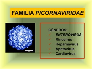 FAMILIA PICORNAVIRIDAE

           GÉNEROS:
            ENTEROVIRUS
            Rinovirus
            Heparnavirus
            Aphtovirus
            Cardiovirus
 