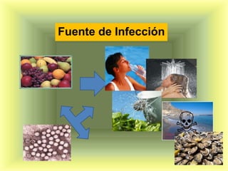 Fuente de Infección
 