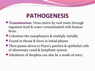 PATHOGENESIS
Transmission: Virus enters by oral route through
ingestion food & water contaminated with human
feces.
Colonizes the nasopharynx & multiply initially
Found in throat & feces in initial phases
Then passes down to Peyer’s patches & epithelial cells
of alimentary canal & lymphatic system
Inhalation of droplets can also be a mode of entry
 