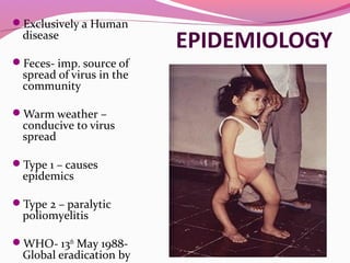 EPIDEMIOLOGY
Exclusively a Human
disease
Feces- imp. source of
spread of virus in the
community
Warm weather –
conducive to virus
spread
Type 1 – causes
epidemics
Type 2 – paralytic
poliomyelitis
WHO- 13th
May 1988-
Global eradication by
 
