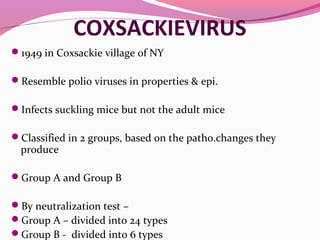 COXSACKIEVIRUS
1949 in Coxsackie village of NY
Resemble polio viruses in properties & epi.
Infects suckling mice but not the adult mice
Classified in 2 groups, based on the patho.changes they
produce
Group A and Group B
By neutralization test –
Group A – divided into 24 types
Group B - divided into 6 types
 