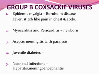 GROUP B COXSACKIE VIRUSES
1. Epidemic myalgia – Bornholm disease
Fever, stitch like pain in chest & abdo.
2. Myocarditis and Pericarditis – newborn
3. Aseptic meningitis with paralysis
4. Juvenile diabetes –
5. Neonatal infections –
Hepatitis,meningoencephalitis
 