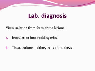Lab. diagnosis
Virus isolation from feces or the lesions
a. Inoculation into suckling mice
b. Tissue culture – kidney cells of monkeys
 