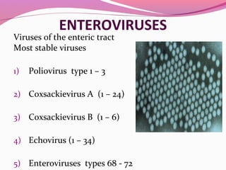 ENTEROVIRUSES
Viruses of the enteric tract
Most stable viruses
1) Poliovirus type 1 – 3
2) Coxsackievirus A (1 – 24)
3) Coxsackievirus B (1 – 6)
4) Echovirus (1 – 34)
5) Enteroviruses types 68 - 72
 