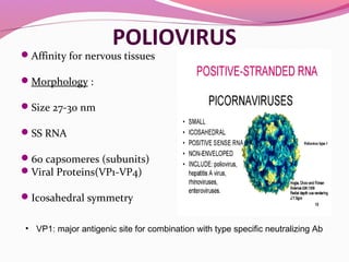POLIOVIRUS
Affinity for nervous tissues
Morphology :
Size 27-30 nm
SS RNA
60 capsomeres (subunits)
Viral Proteins(VP1-VP4)
Icosahedral symmetry
• VP1: major antigenic site for combination with type specific neutralizing Ab
 