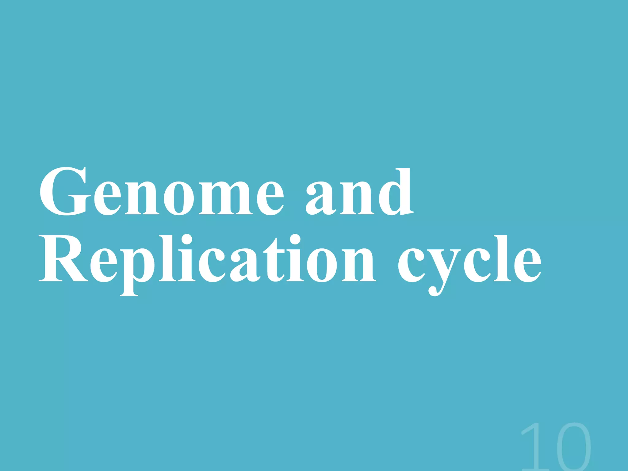 Genome and
Replication cycle
 