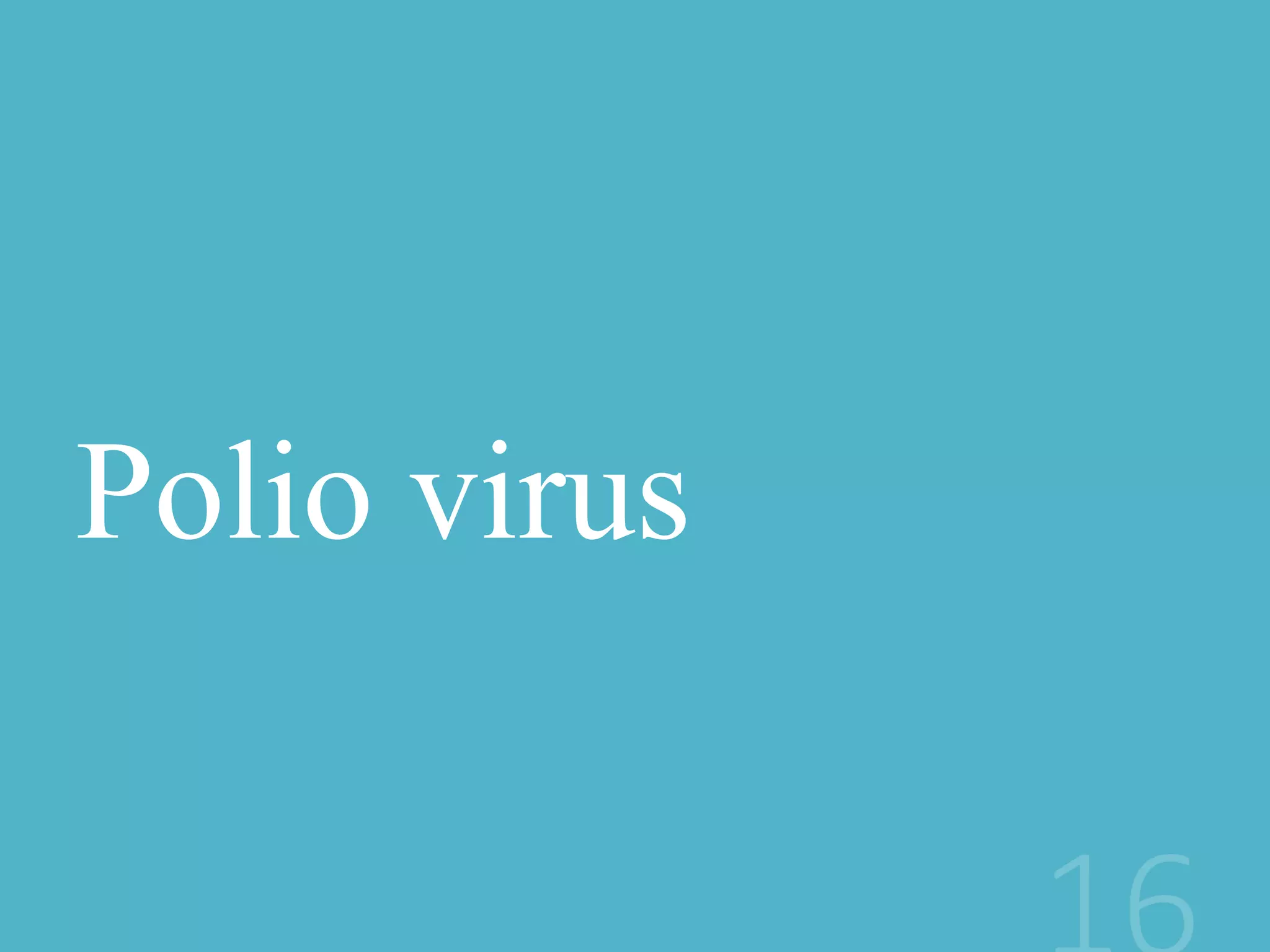 Polio virus
 