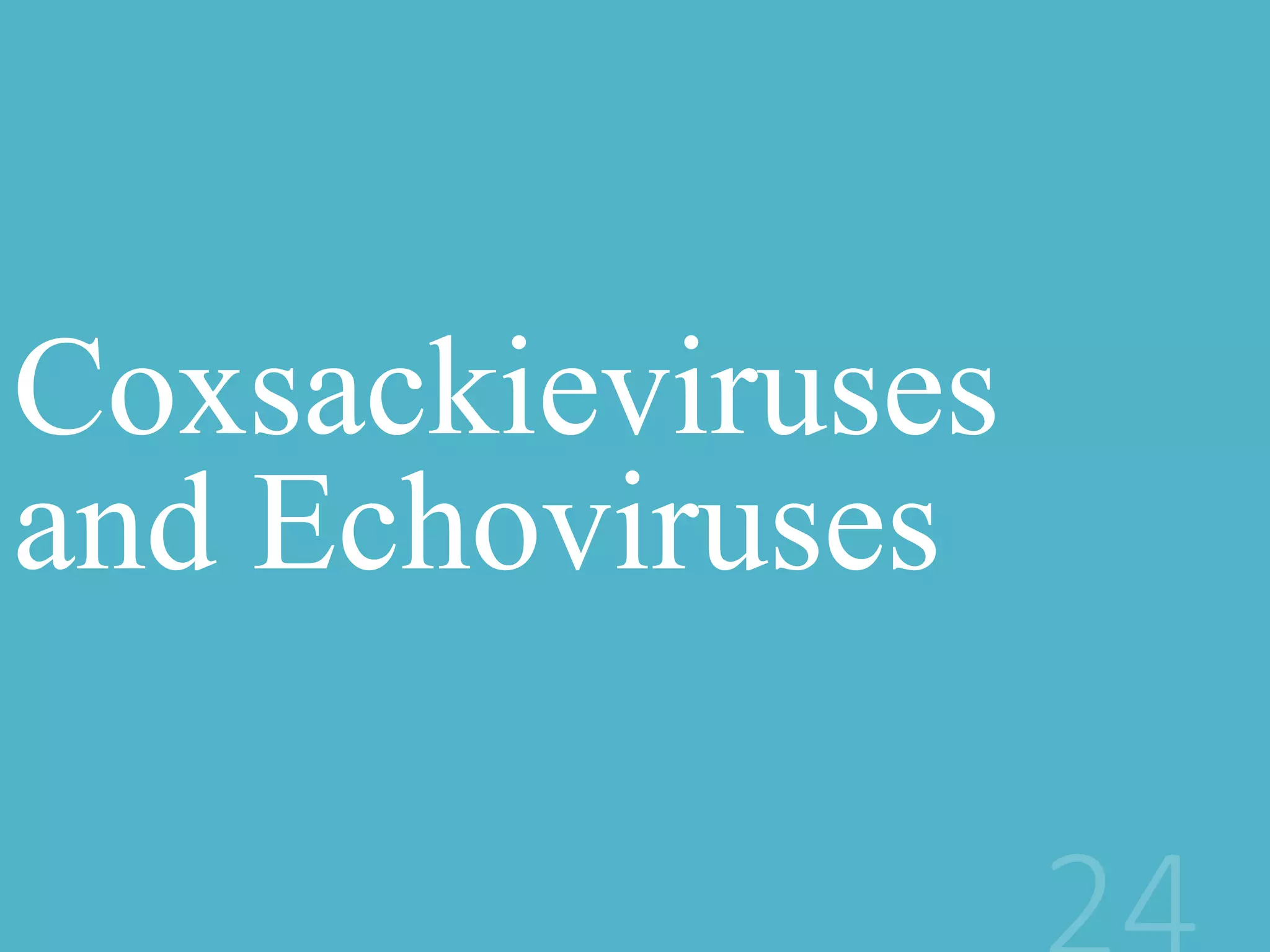 Coxsackieviruses
and Echoviruses
 