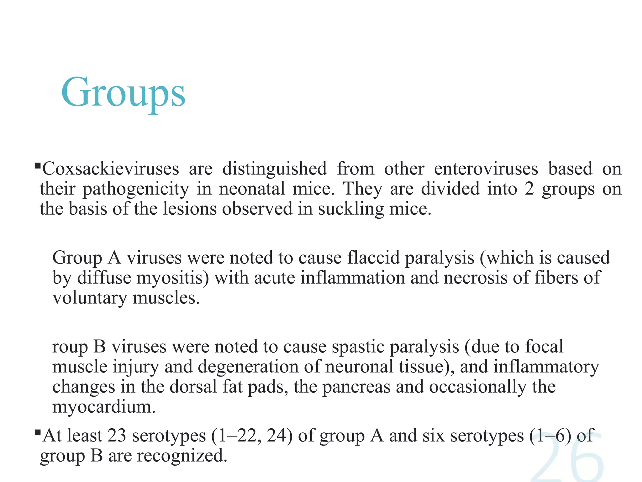 Groups
Coxsackieviruses are distinguished from other enteroviruses based on
their pathogenicity in neonatal mice. They are divided into 2 groups on
the basis of the lesions observed in suckling mice.
Group A viruses were noted to cause flaccid paralysis (which is caused
by diffuse myositis) with acute inflammation and necrosis of fibers of
voluntary muscles.
roup B viruses were noted to cause spastic paralysis (due to focal
muscle injury and degeneration of neuronal tissue), and inflammatory
changes in the dorsal fat pads, the pancreas and occasionally the
myocardium.
At least 23 serotypes (1–22, 24) of group A and six serotypes (1–6) of
group B are recognized.
 