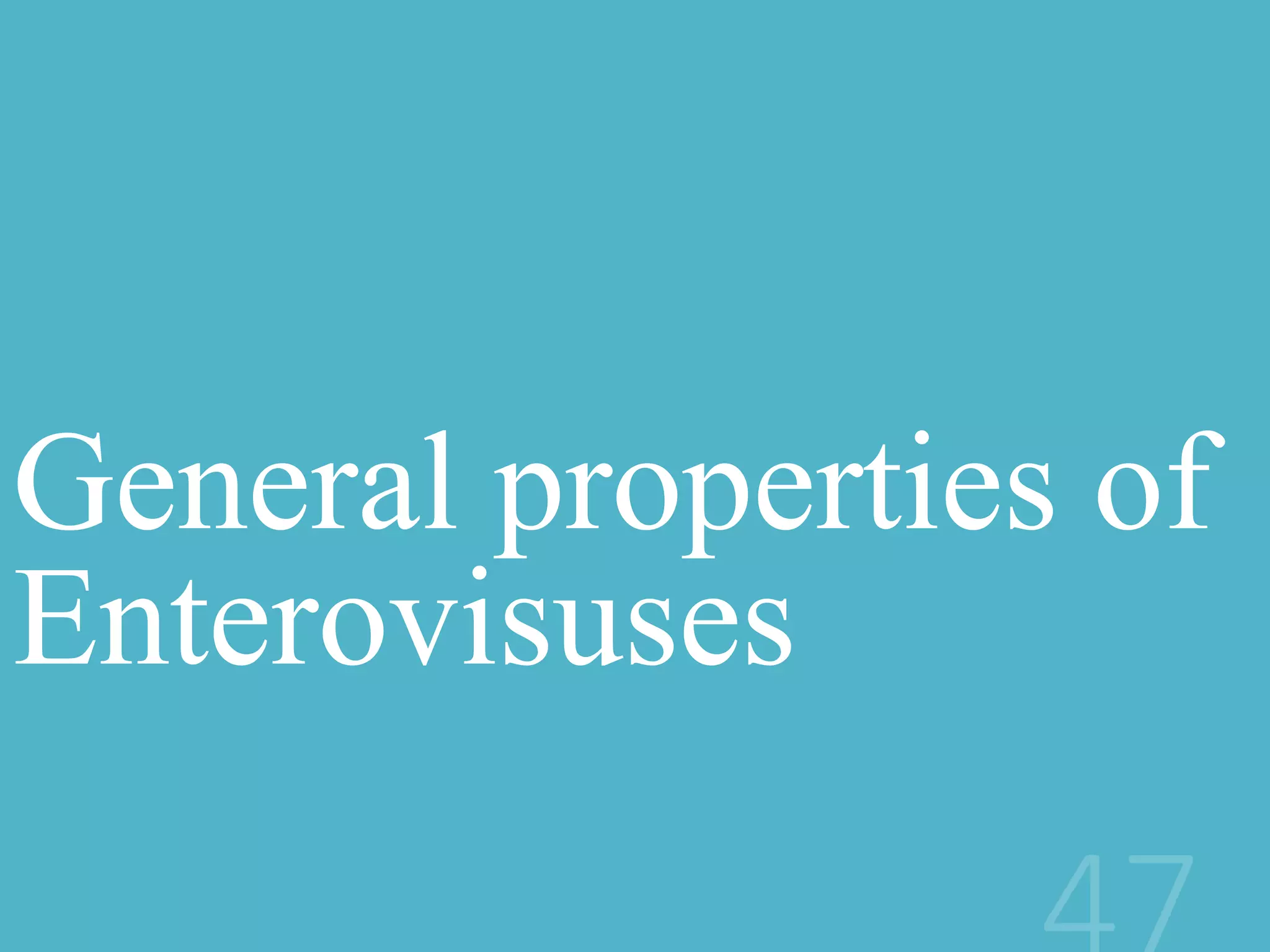 General properties of
Enterovisuses
 