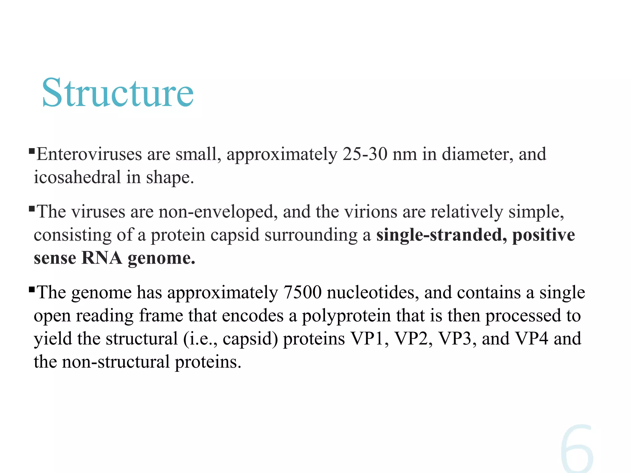 Structure
Enteroviruses are small, approximately 25-30 nm in diameter, and
icosahedral in shape.
The viruses are non-enveloped, and the virions are relatively simple,
consisting of a protein capsid surrounding a single-stranded, positive
sense RNA genome.
The genome has approximately 7500 nucleotides, and contains a single
open reading frame that encodes a polyprotein that is then processed to
yield the structural (i.e., capsid) proteins VP1, VP2, VP3, and VP4 and
the non-structural proteins.
 