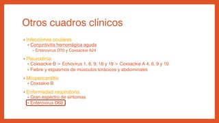 Otros cuadros clínicos
• Infecciones oculares
• Conjuntivitis hemorrágica aguda
• Enterovirus D70 y Coxsackie A24
• Pleurodinia
• Coxsackie B > Echovirus 1, 6, 9, 16 y 19 > Coxsackie A 4, 6, 9 y 10
• Fiebre y espasmos de músculos torácicos y abdominales
• Miopericarditis
• Coxsakie B
• Enfermedad respiratoria
• Gran espectro de síntomas
• Enterovirus D68
 