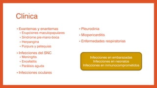 Clínica
• Exantemas y enantemas
• Erupciones maculopapulares
• Síndrome pie-mano-boca
• Herpangina
• Púrpura y petequias
• Infecciones del SNC
• Meningitis
• Encefalitis
• Parálisis aguda
• Infecciones oculares
• Pleurodinia
• Miopericarditis
• Enfermedades respiratorias
Infecciones en embarazadas
Infecciones en neonatos
Infecciones en inmunocomprometidos
 