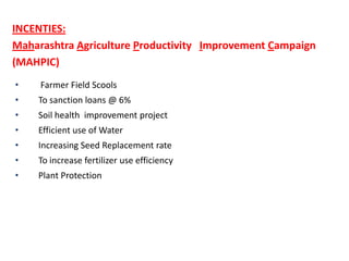 10.14 lakh power looms