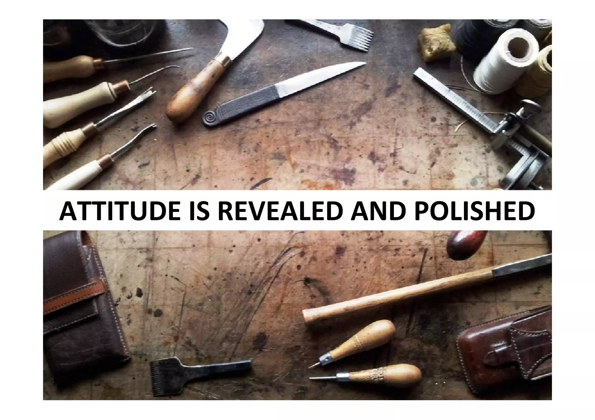 ATTITUDE IS REVEALED AND POLISHED