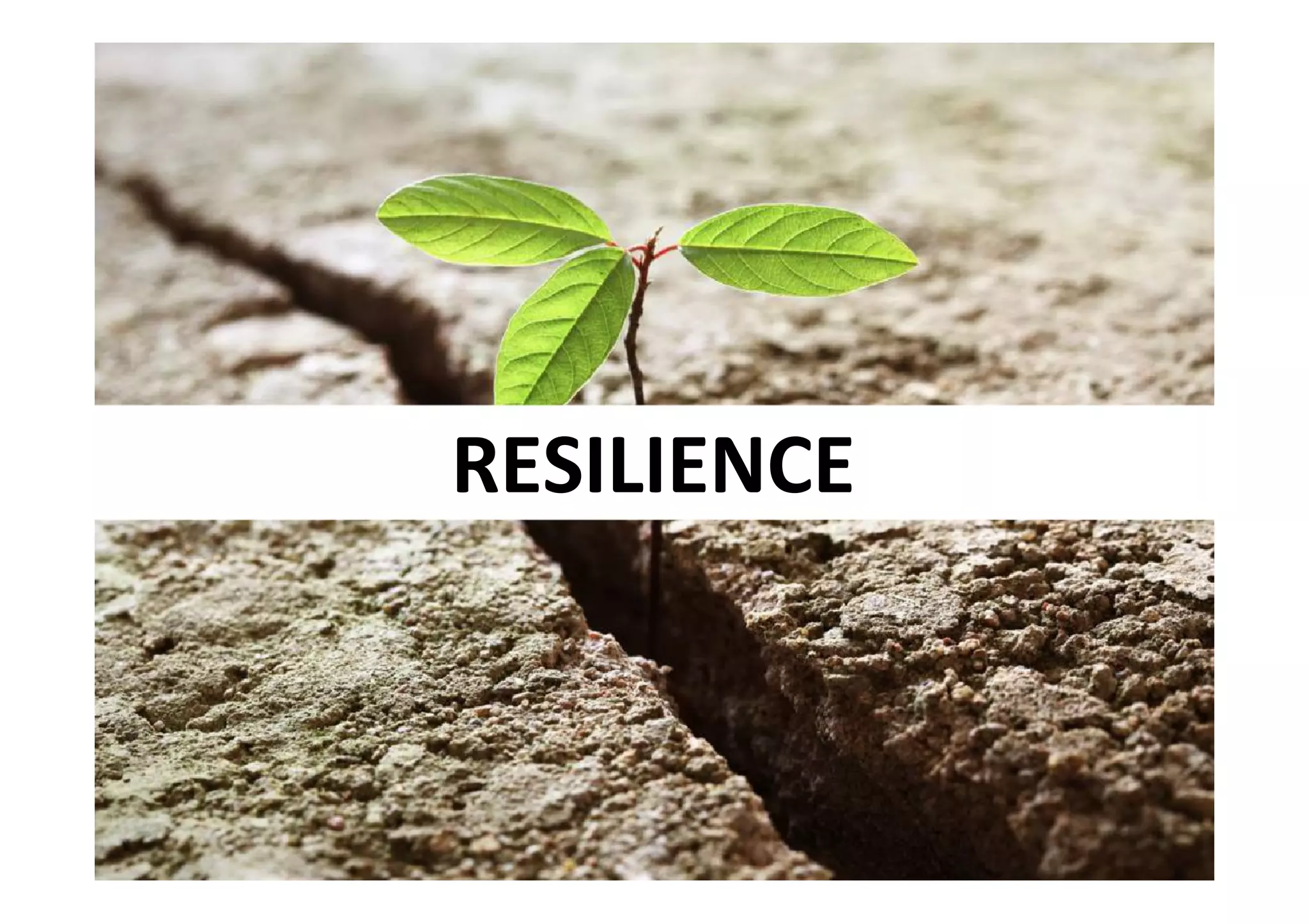 RESILIENCE