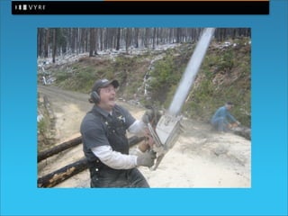 Enterprise 2.0 in practice