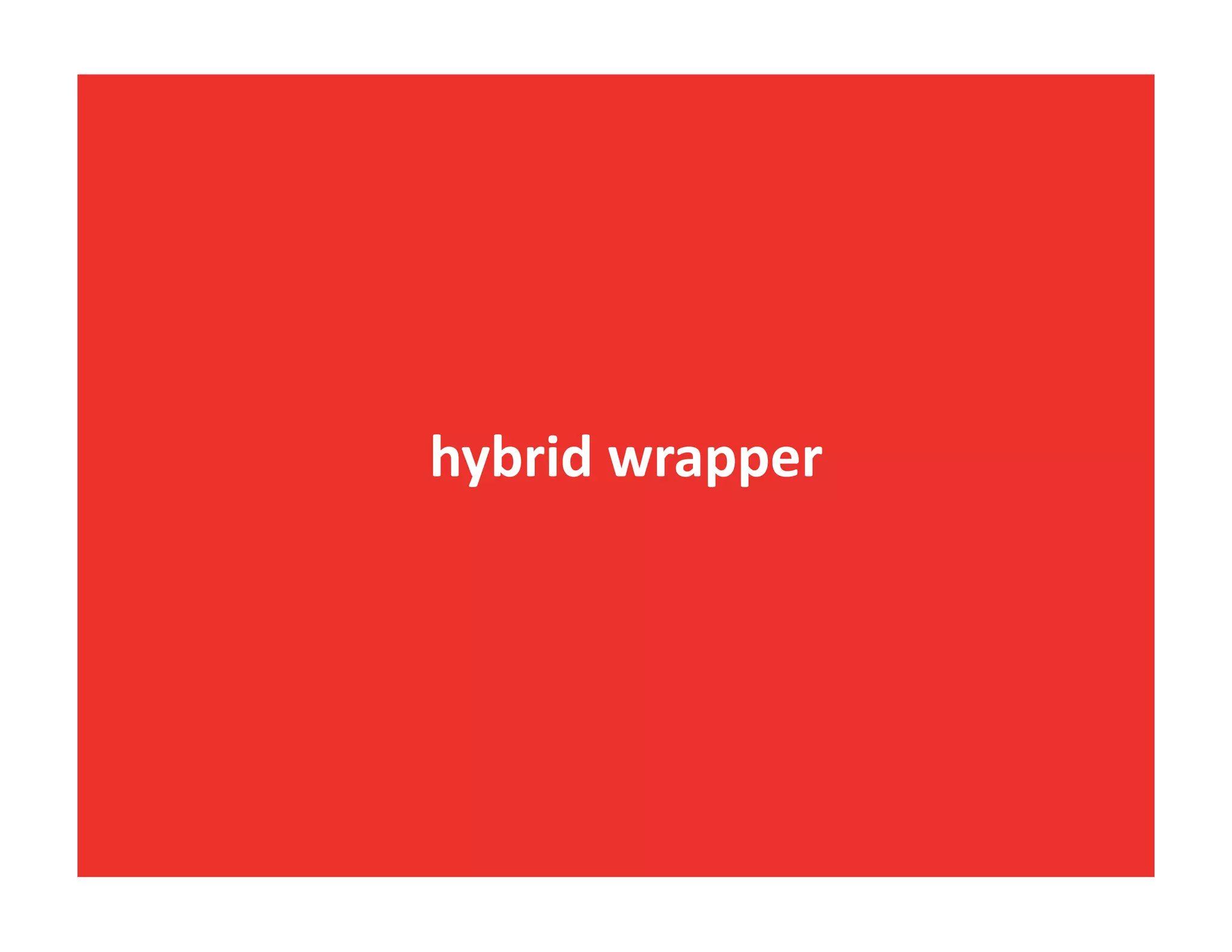 hybrid	
  wrapper	
  
 