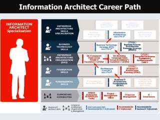 Information Architect Career Path
 
