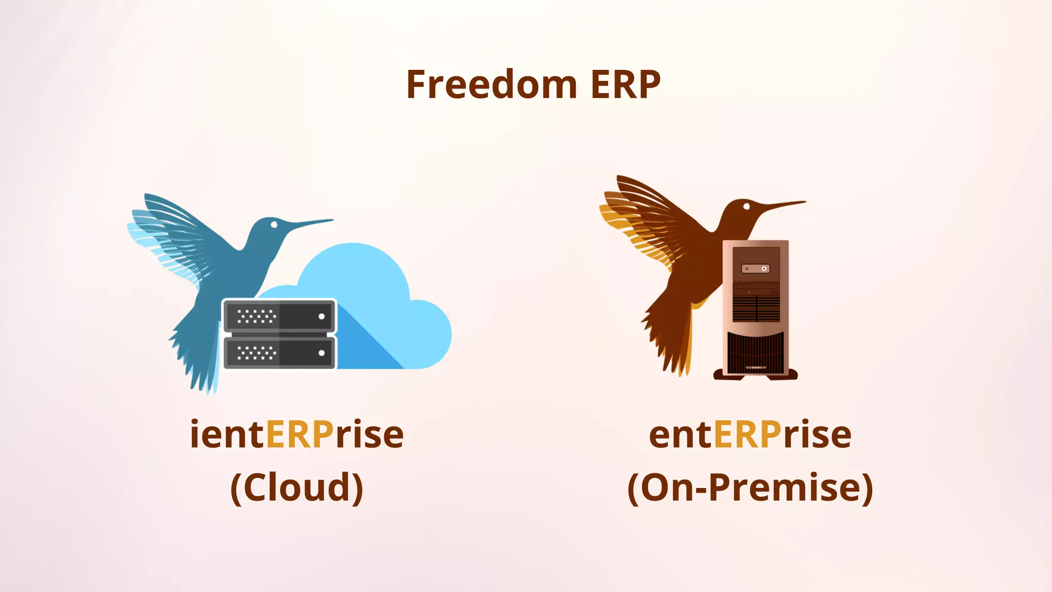 Freedom Erp Software