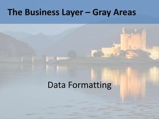 The Business Layer – Gray Areas




         Data Formatting
 