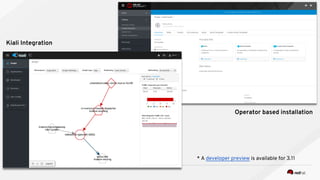 Operator based installation
Kiali Integration
* A developer preview is available for 3.11
 