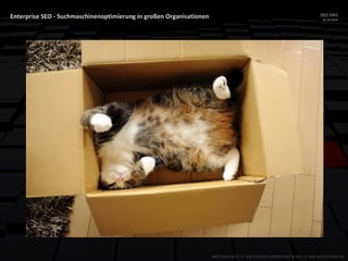 Enterprise SEO - Suchmaschinenoptimierung in großen Organisationen SEO DAY
23.10.2015
MATTHIAS HOTZ // SEO SYSTEMS CONSULTANT & DEV // ONE ADVERTISING AG
 
