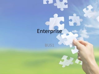 Enterprise

   BUS1
 