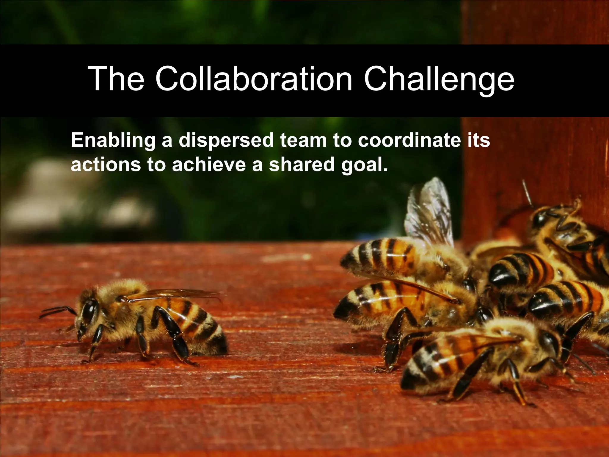 Enterprise 2.0 - Efficient Collaboration and Knowledge Exchange