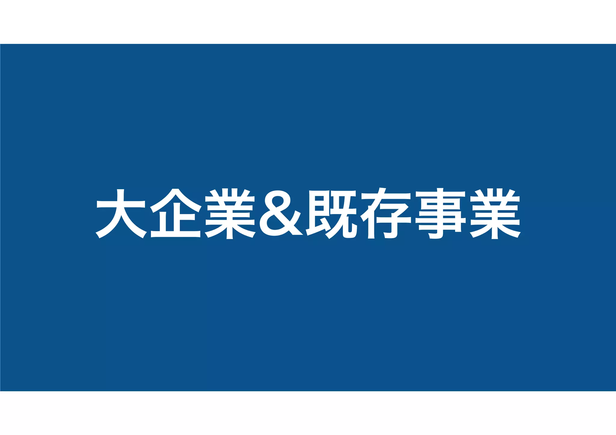 大企業&既存事業
 