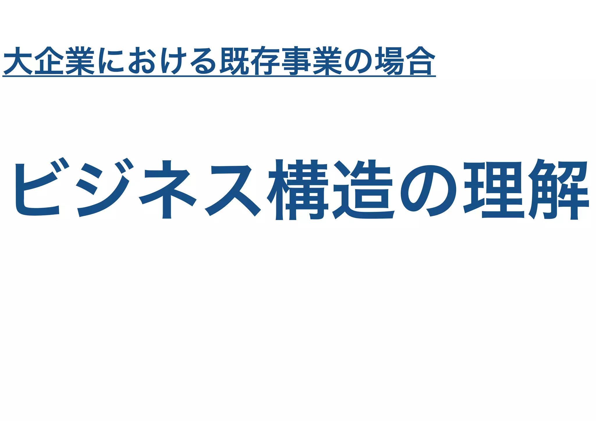 ビジネス構造の理解
大企業における既存事業の場合
 