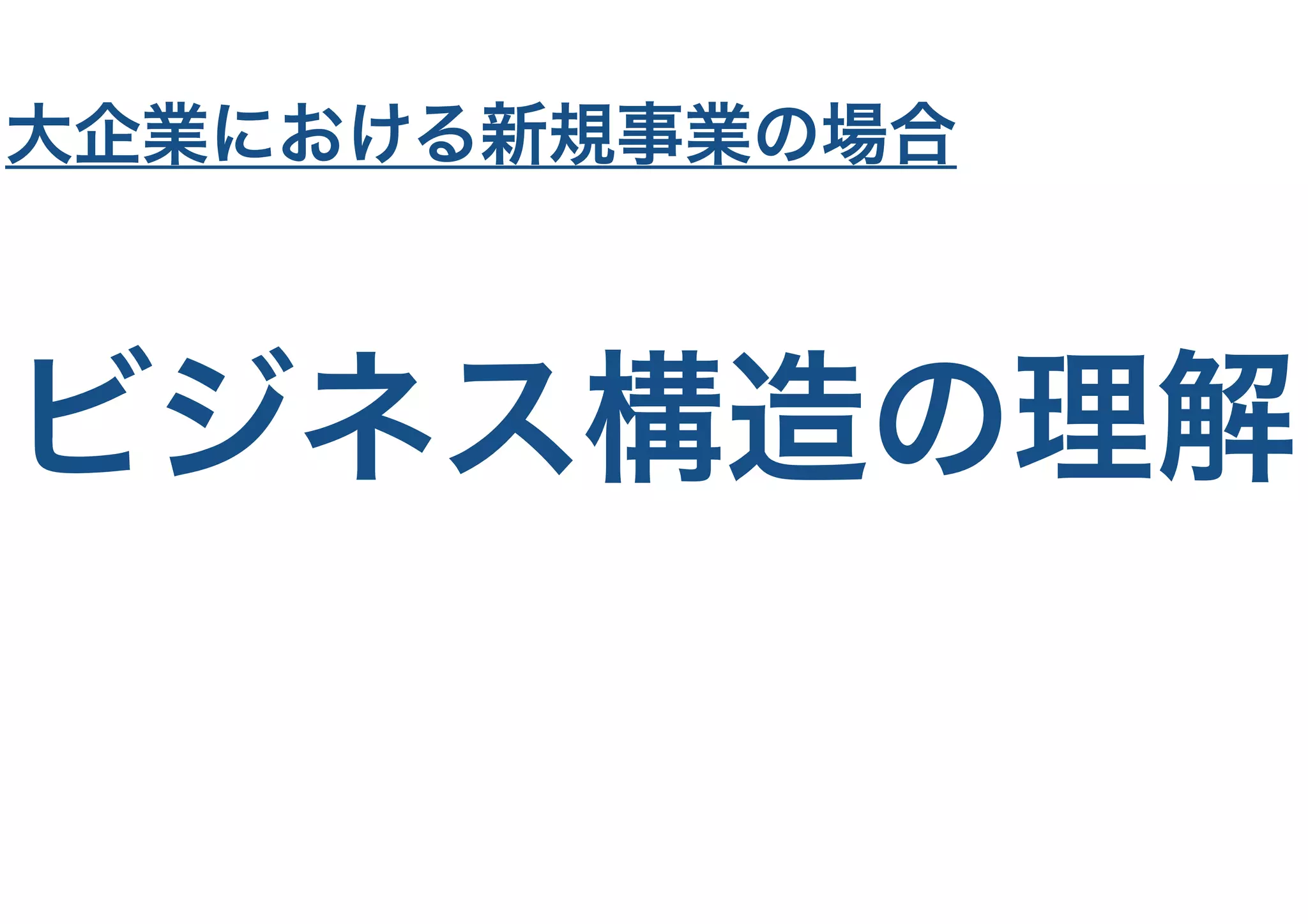 ビジネス構造の理解
大企業における新規事業の場合
 