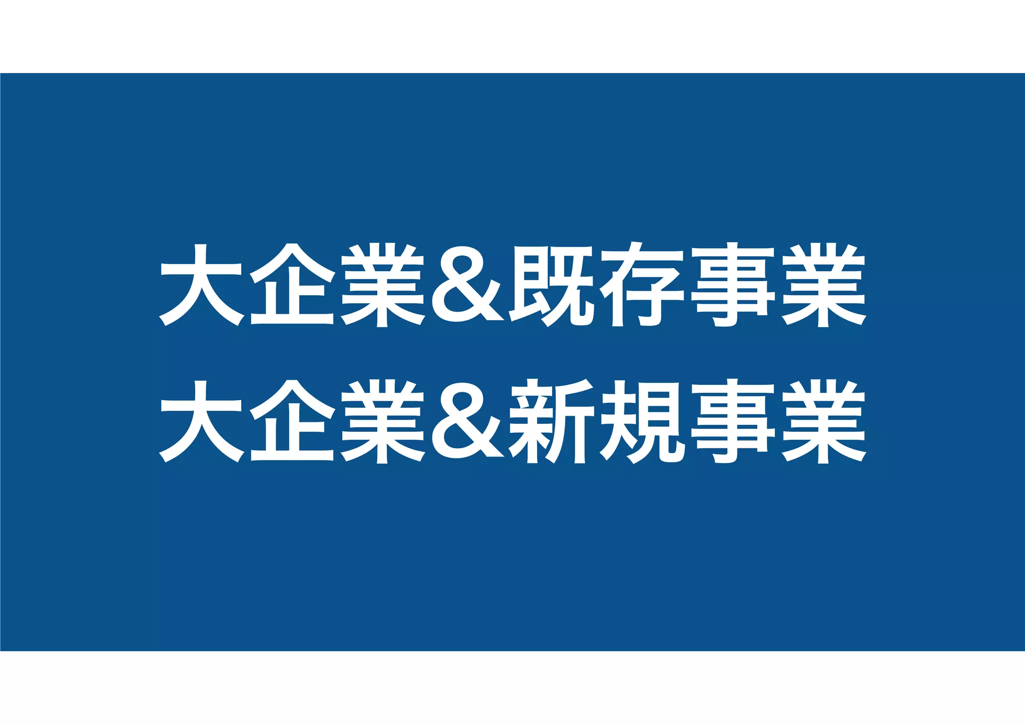 大企業&既存事業
大企業&新規事業
 