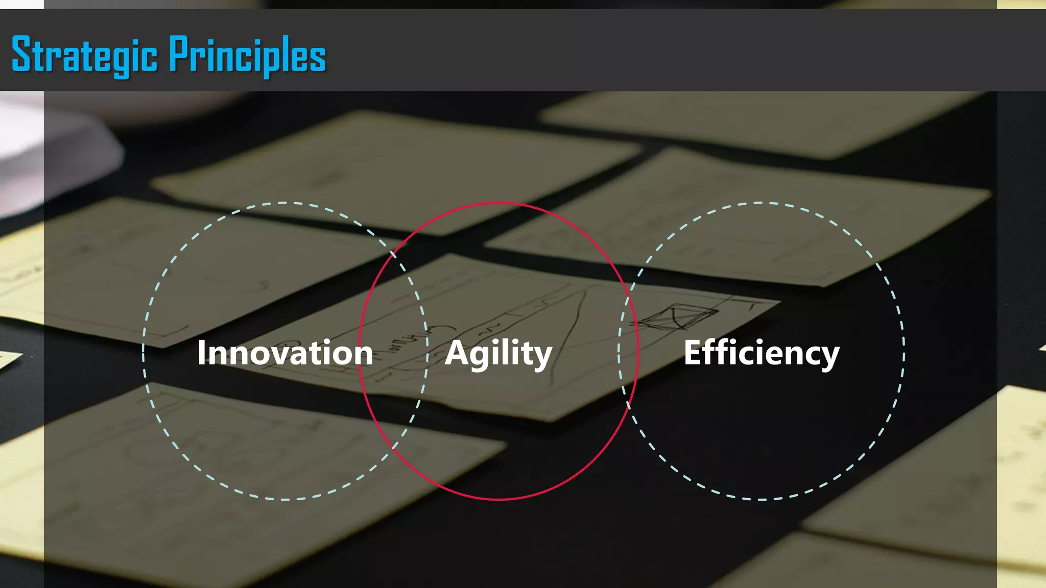 AgilityInnovation Efficiency
Strategic Principles
 