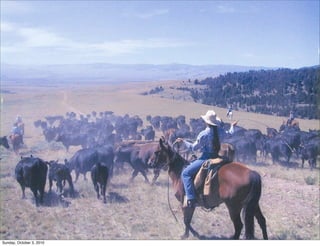 Sunday, October 3, 2010
 