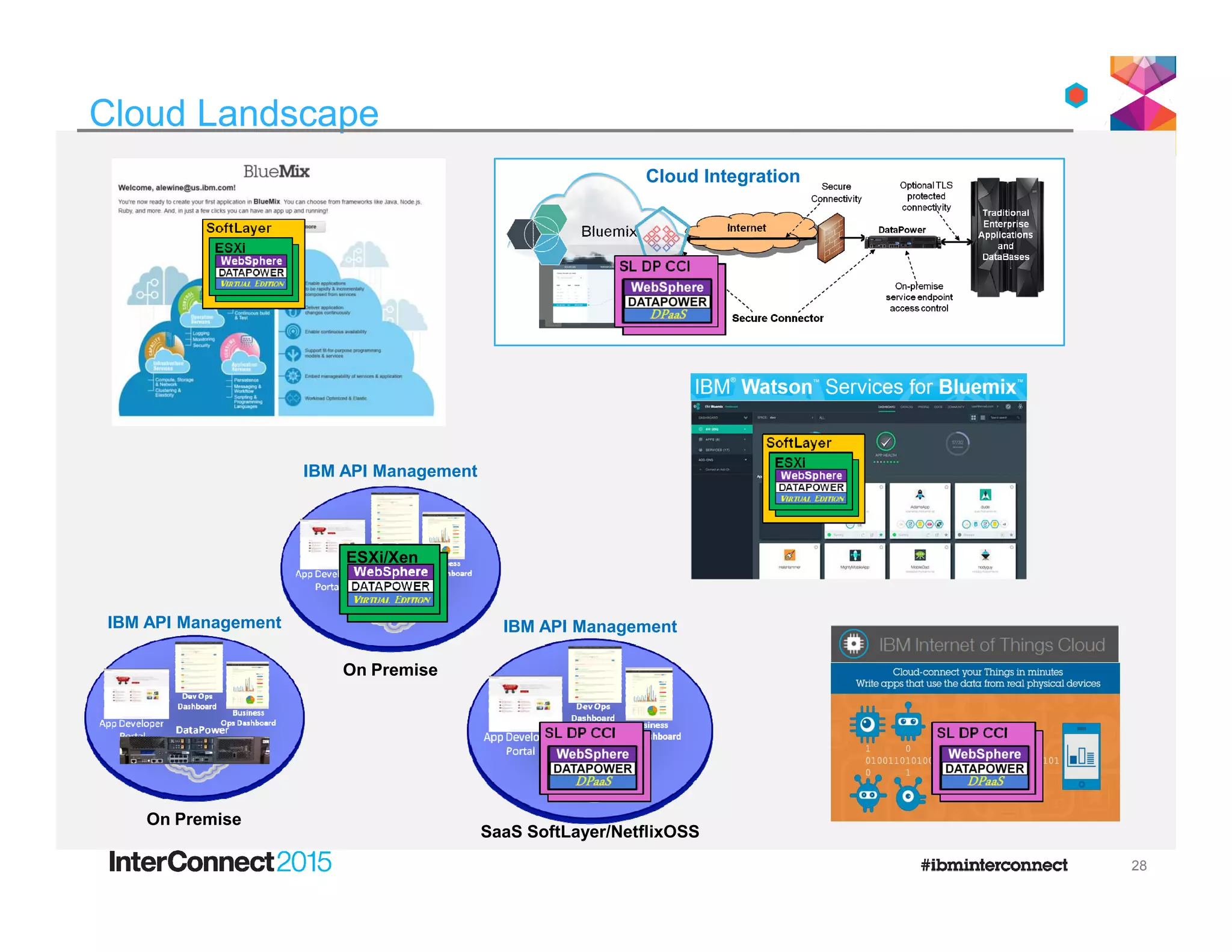 IBM API Management
Cloud Landscape
Cloud Integration
IBM API Management
On Premise
IBM API Management
On Premise
ESXi/Xen
IBM API Management
SaaS SoftLayer/NetflixOSS
28
 