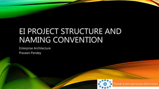 EI PROJECT STRUCTURE AND
NAMING CONVENTION
Enterprise Architecture
Praveen Pandey
 