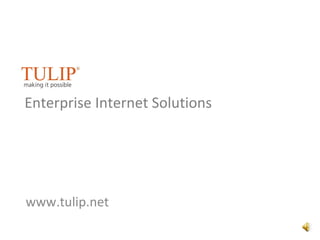 www.tulip.net Enterprise Internet Solutions 