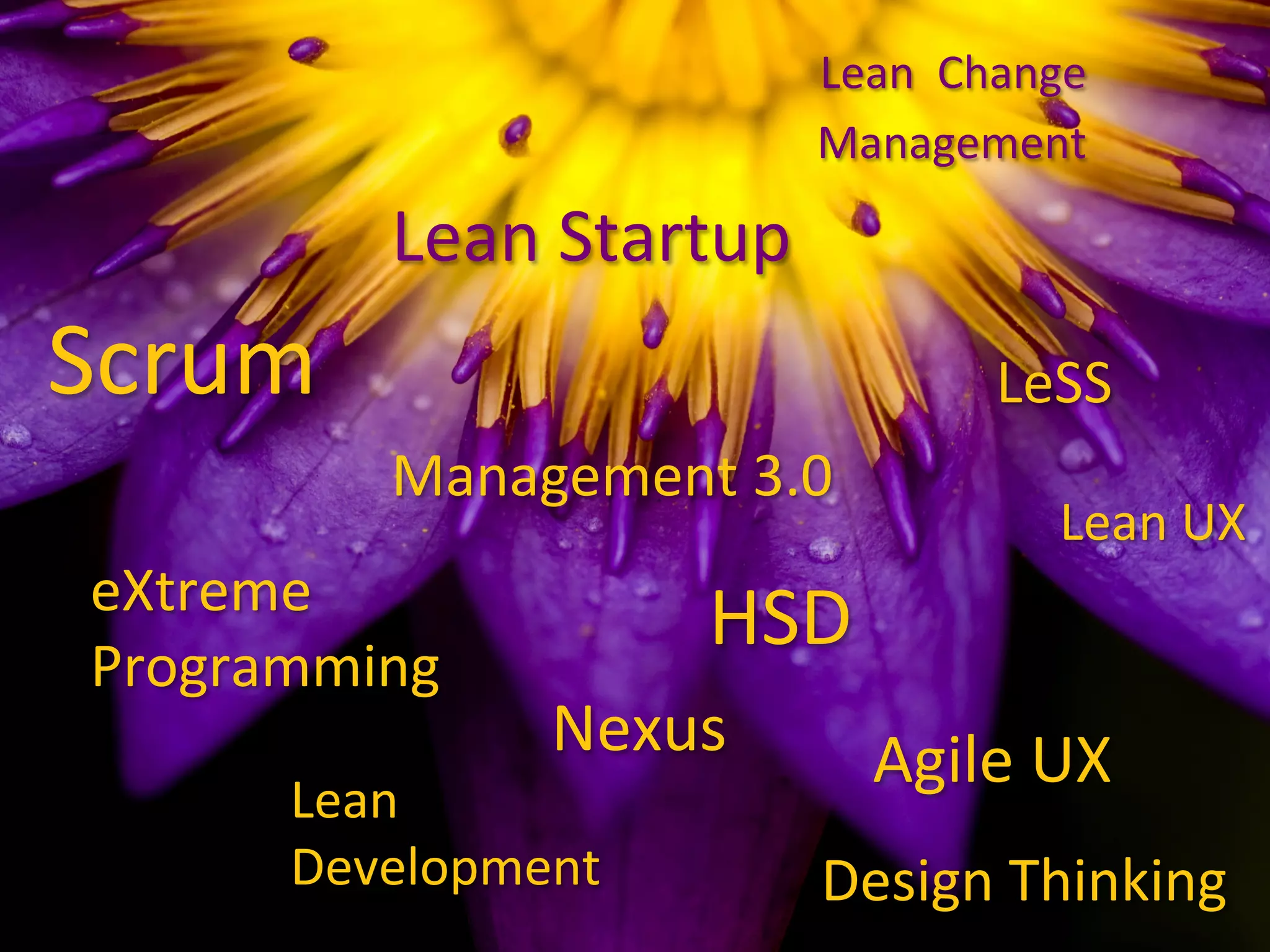 Scrum	
eXtreme	
Programming	
Lean		Change		
Management		
Agile	UX	
Lean	Startup	
Lean	UX	
Lean	
Development	
HSD	
Management	3.0	
LeSS	
Nexus	
Design	Thinking	
 