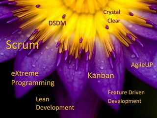 Scrum	
eXtreme	
Programming	
Crystal	
Clear	
Feature	Driven	
Development	
DSDM	
AgileUP	
Lean	
Development	
Kanban	
 