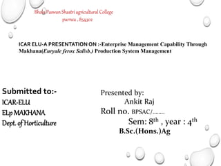 Bhola Paswan Shastri agricultural College
purnea , 854302
ICAR ELU-A PRESENTATION ON :-Enterprise Management Capability Through
Makhana(Euryale ferox Salisb.) Production System Management
Submitted to:-
ICAR-ELU
ELp MAKHANA
Dept. of Horticulture
Presented by:
Ankit Raj
Roll no. BPSAC/……..
Sem: 8th , year : 4th
B.Sc.(Hons.)Ag
 