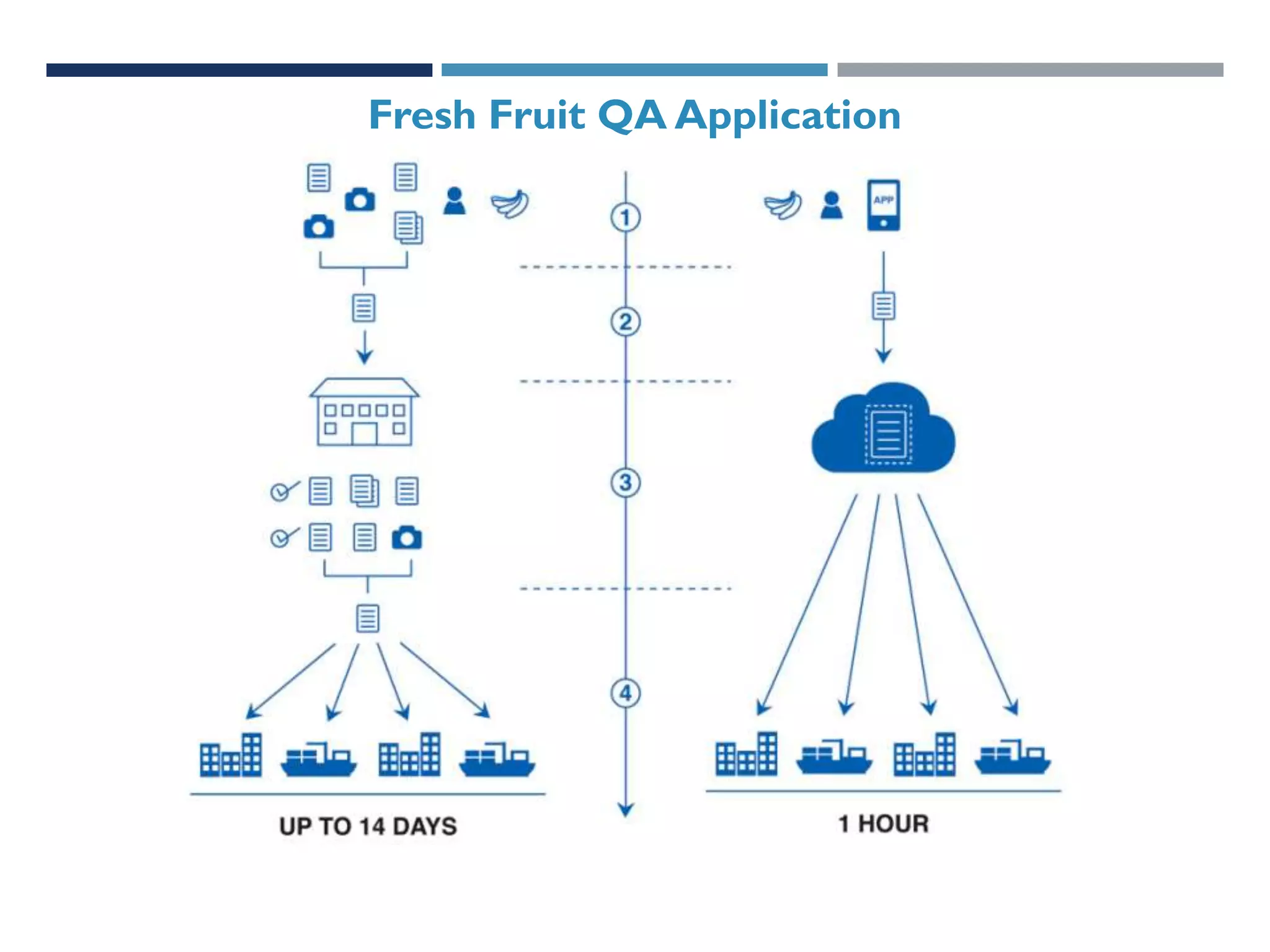 Fresh Fruit QA Application

 