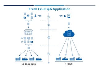 Fresh Fruit QA Application

 