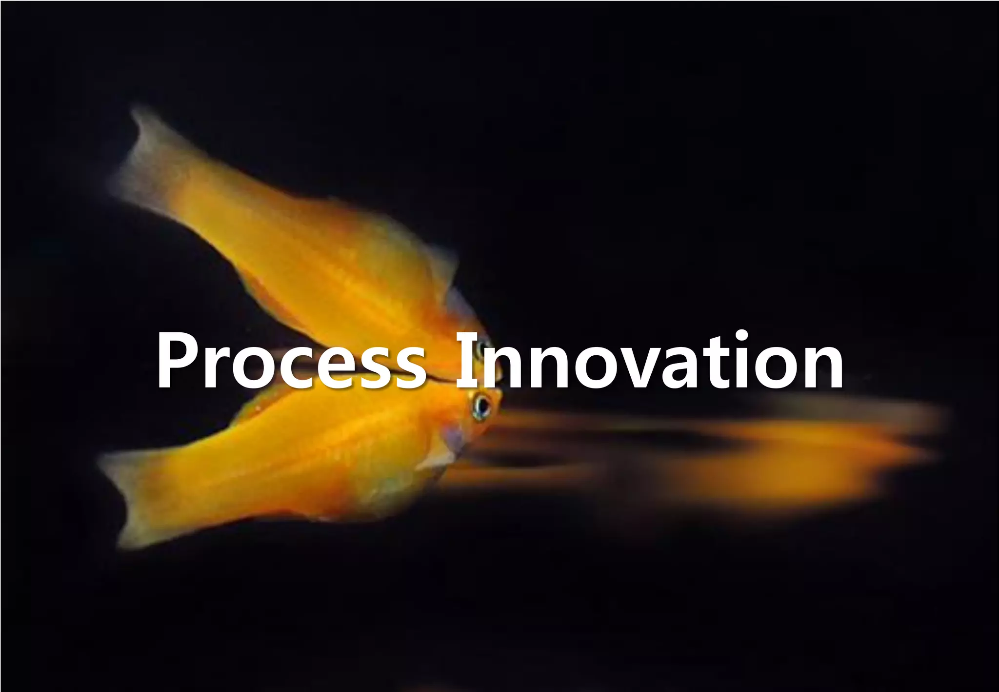 Process Innovation
 